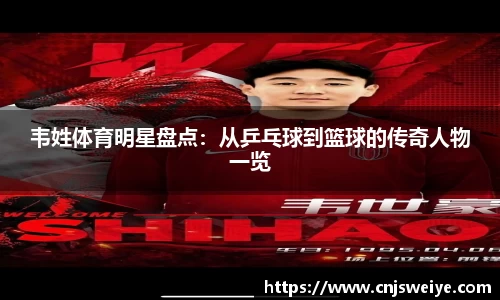 yy易游
