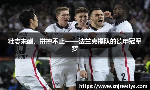 yy体育