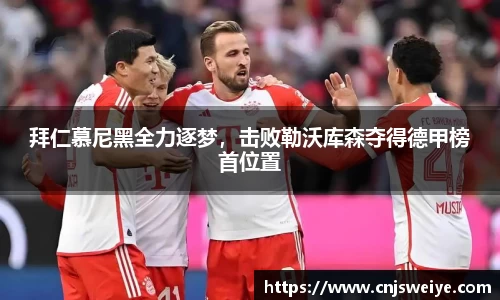 yy体育