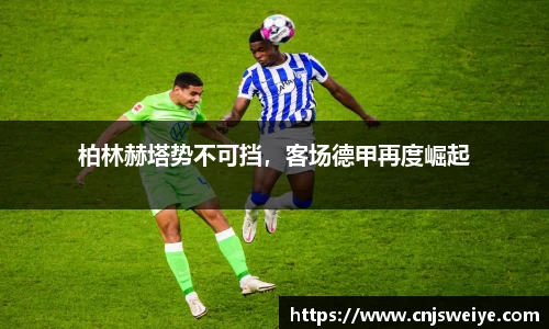 yy易游