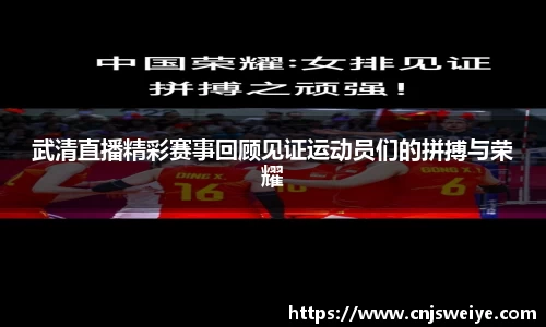 yy体育