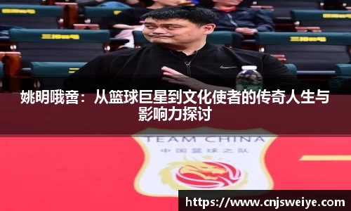 yy体育