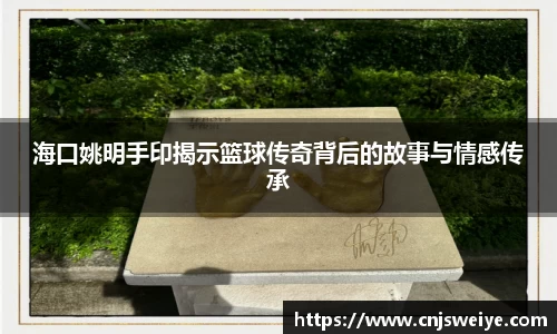 yy易游体育