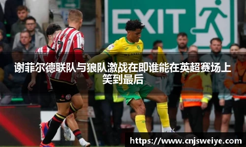 yy体育