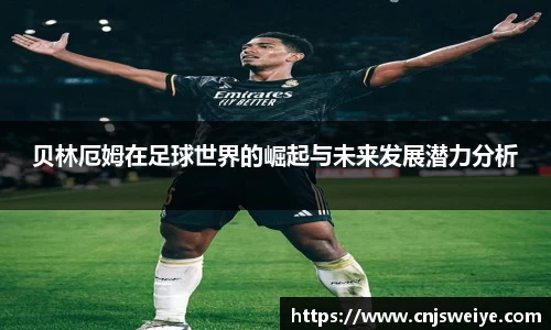 yy易游体育